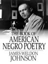The Book of American Negro Poetry (eBook)